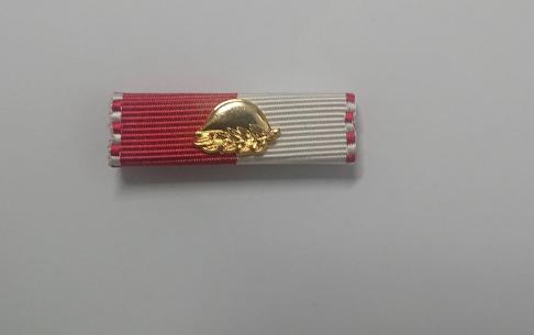 Produktbild Shop 2TM - Ribbon / Ordensspange 2TM Gold